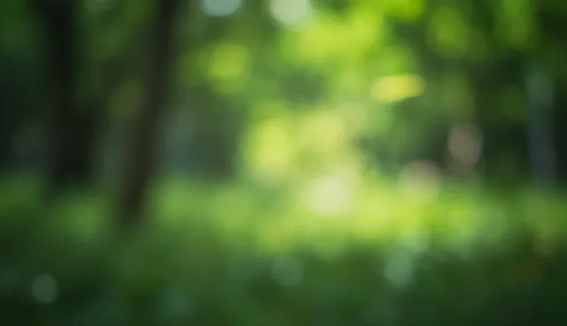 工程配套管网安装常见问题与处理建议